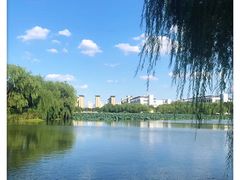 -东华大学(松江校区)