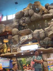 -卡通尼·Safari非洲探索乐园·生日会(金桥国际商业广场店)