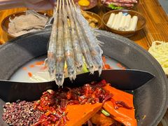 -阳阳老火锅(小南门店)