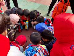 -乐融国际幼儿园(四季青校区)