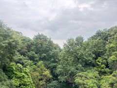 -西樵山风景名胜区-天湖公园