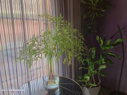 点击看大图 -花隐·美芙炫海菲秀皮肤管理中心