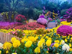 -杭州植物园