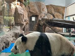 -成都动物园