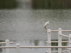 -南翔镇银翔湖公园