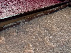 -大象粑粑造纸公园