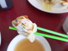 素虾仁锅贴-青岛锅贴(洛阳路分店)