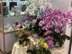 -EPOQUE·一刻花店(兴业太古汇店)