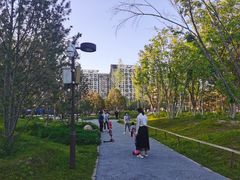 -回龙观体育文化公园