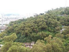-金鸡山公园