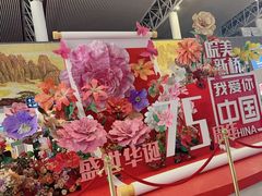 -合肥新桥国际机场-航站楼
