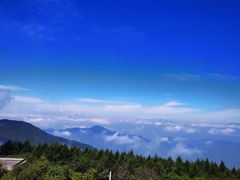 -白草畔自然风景区