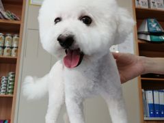 -创凡宠物医院·骨专科  猫科中心(西乡分院)