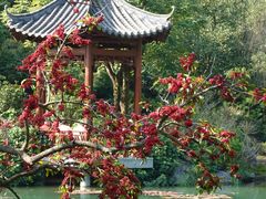 -云溪植物园