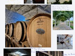 -张裕卡斯特酒庄