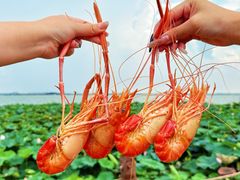 -七的湖·晚芳亭·阳澄湖农家菜·大闸蟹(莲花岛店)