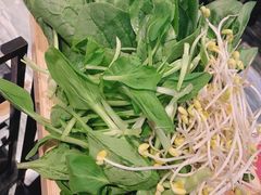 -红辣椒·川菜·火锅(张杨路店)