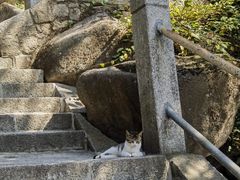 -崂山巨峰游览区