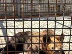 -水上乐园·欢乐世界