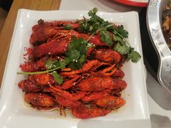 -海岛八号龙虾烧烤田鸡(蓝天路总店)