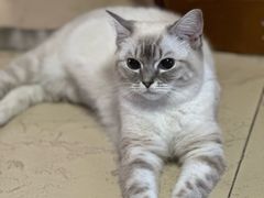 -宠福鑫康馨动物医院·骨科·眼科