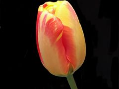 -天丰利生活MALL(和平里店)