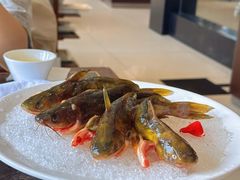 -皇城老妈川味火锅·大连海鲜火锅(港湾店)