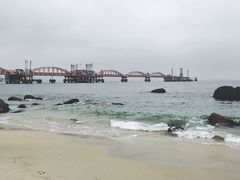 -玫瑰海岸文化旅游度假区