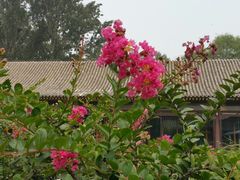 -北京宽沟会议中心