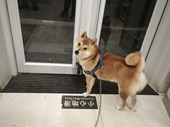 -悦宠凯宝动物医院·牙科·皮肤科(朝阳北路店)