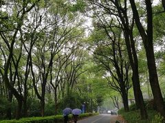 -石峰公园