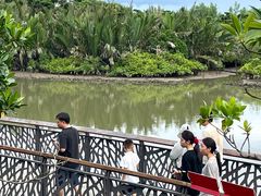 -东寨港红树林旅游区