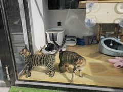 -李连贵酒家熏肉大饼(昆明街店)