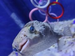 -常州海昌海洋探索馆