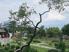 -云禾壹海景庄园餐厅
