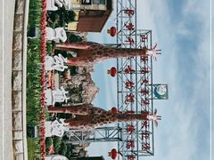 -龙口动植物园