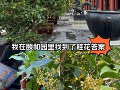 -颐和园