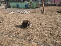 -秦皇岛野生动物园