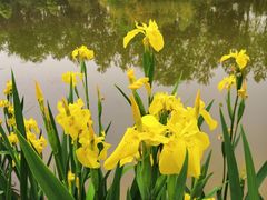 -白鹭湾湿地公园