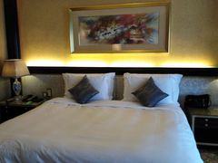 -上海浦东星河湾酒店