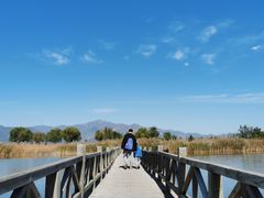 -野鸭湖国家湿地公园