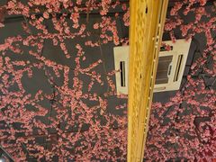 -大话小腰(鸟巢店)