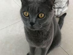 -Catmate·猫肥家润(金润铂宫店)