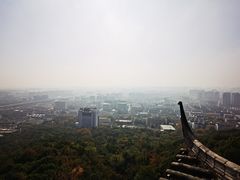 -杭州半山国家森林公园