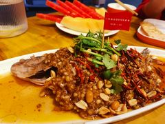 -杨氏青龙虾·羊蝎子(托乐嘉店)