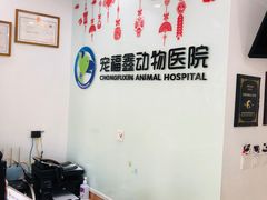 -宠福鑫动物医院(望京分院)