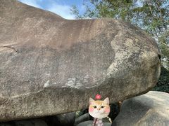 -火炉山森林公园