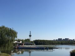 -大兴滨河森林公园