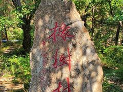 -北京上方山国家森林公园