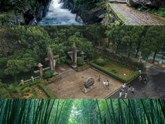-大奇山国家森林公园